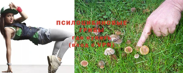 СК Аркадак