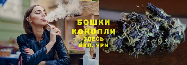 СК Аркадак
